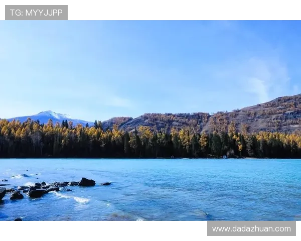 九游会官方登录遇到问题怎么办?常见故障排查与客服支持指南